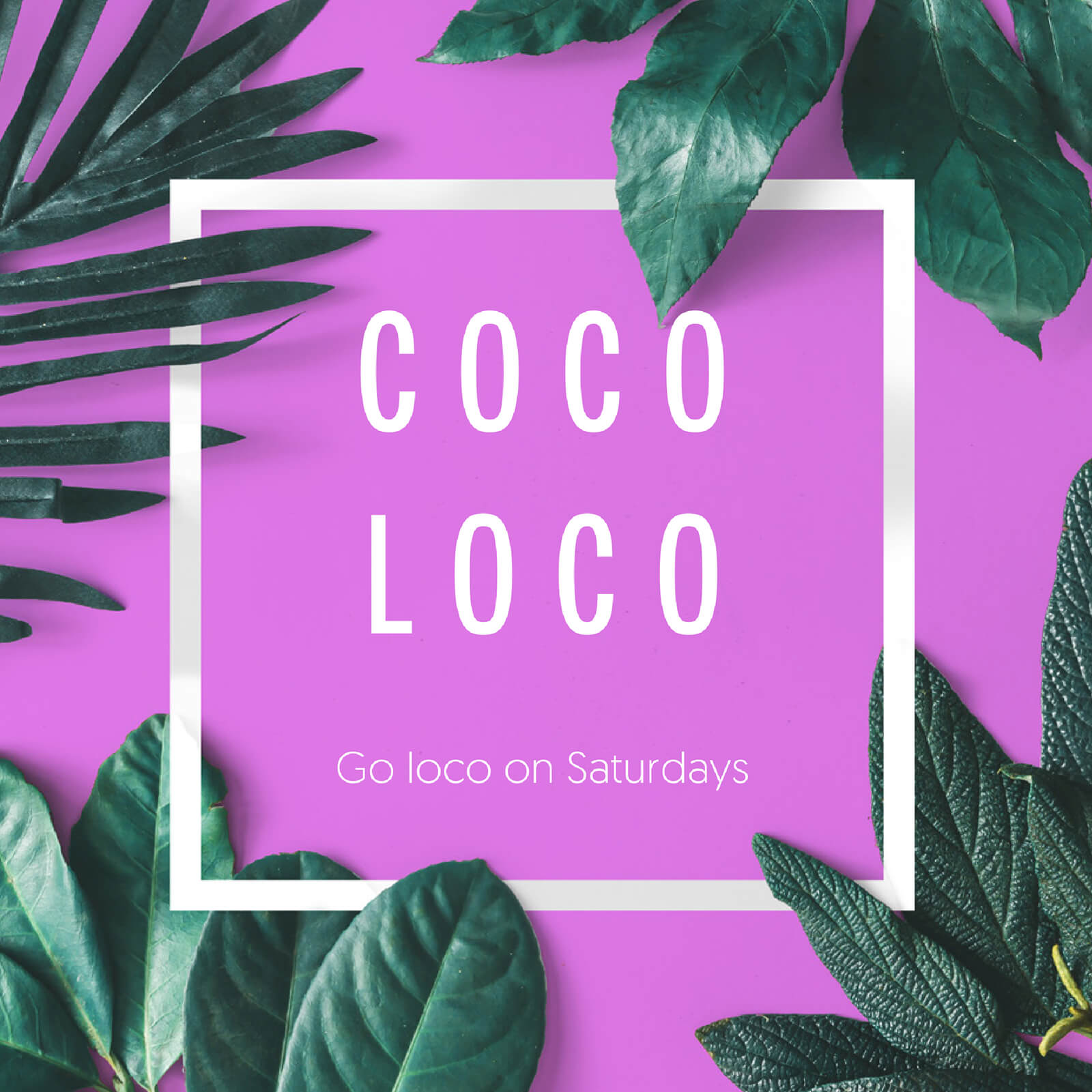 COCO ON EIGHT Social Media