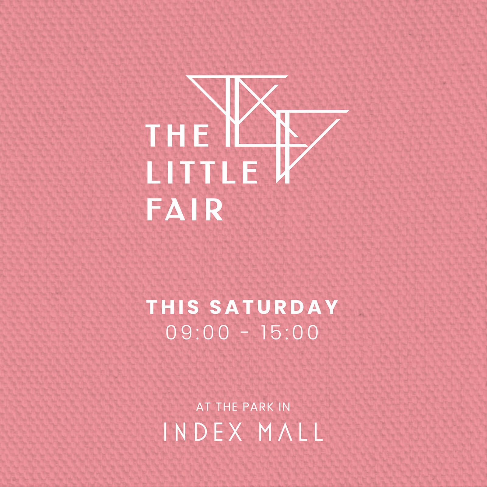The Little Fair Social Media